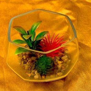 Handcrafted plant aquarium